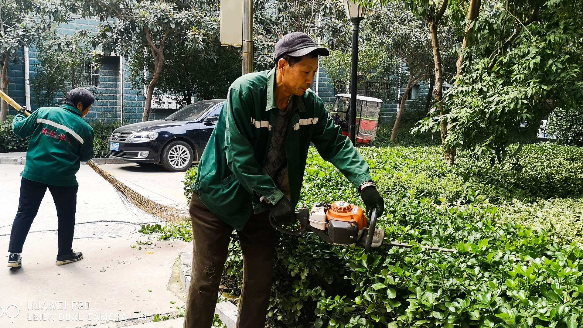 1636689494372169.jpg 修剪樹木.jpg